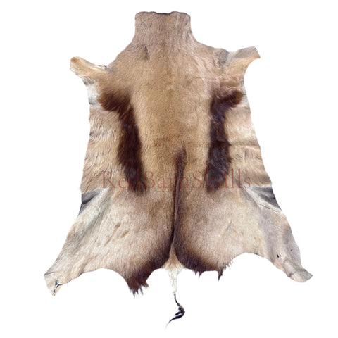 Copper Springbok Skin - Deer Leather Rug Deer skin for pillows, wallets, hand bags, deer floor rug Naturally Copper Springbok Hide