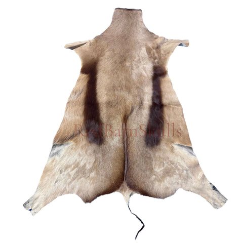 Copper Springbok Skin - Deer Leather Rug Deer skin for pillows, wallets, hand bags, deer floor rug Naturally Copper Springbok Hide