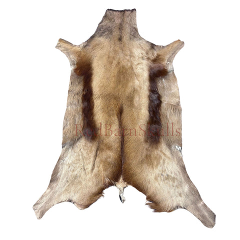 Copper Springbok Skin - Deer Leather Rug Deer skin for pillows, wallets, hand bags, deer floor rug Naturally Copper Springbok Hide