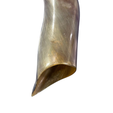 Eland Yemenite Shofar - Genuine Antelope Horn - Around 20" long - Judaica Trumpet Kosher-made Eland antelope horn shofar Eland Horn Trumpet
