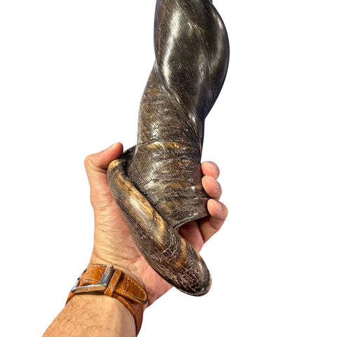 Eland Yemenite Shofar - Genuine Antelope Horn - Around 21" long - Judaica Trumpet Kosher-made Eland antelope horn shofar Eland Horn Trumpet