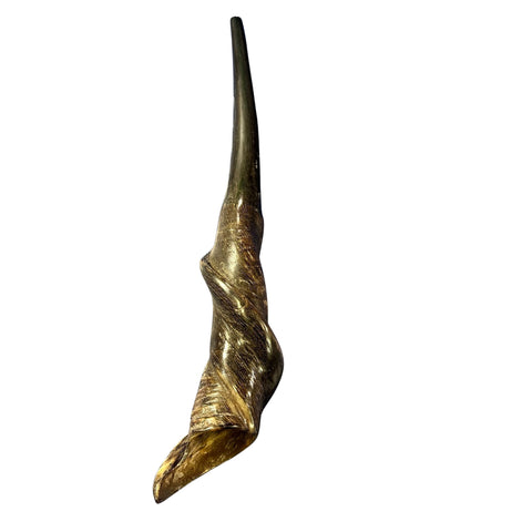 Eland Yemenite Shofar - Genuine Antelope Horn - Around 21" long - Judaica Trumpet Kosher-made Eland antelope horn shofar Eland Horn Trumpet