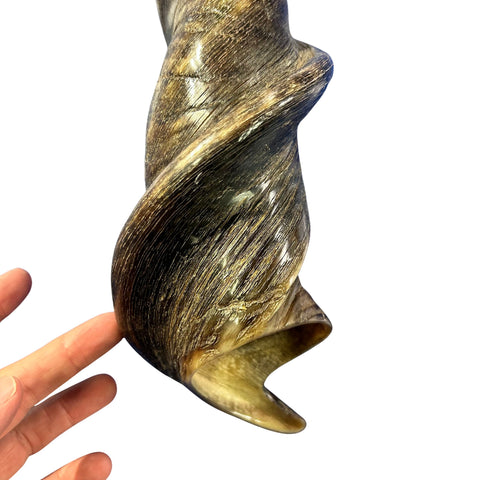Eland Yemenite Shofar - Genuine Antelope Horn - Around 22" long - Judaica Trumpet Kosher-made Eland antelope horn shofar Eland Horn Trumpet