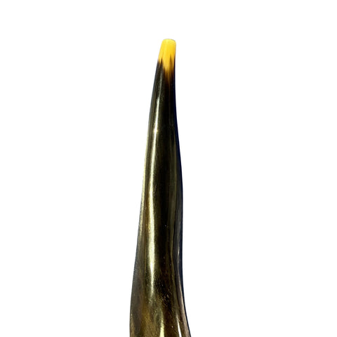 Eland Yemenite Shofar - Genuine Antelope Horn - Around 24" long - Judaica Trumpet Kosher-made Eland antelope horn shofar Eland Horn Trumpet