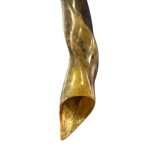 Eland Yemenite Shofar - Genuine Antelope Horn - Around 24" long - Judaica Trumpet Kosher-made Eland antelope horn shofar Eland Horn Trumpet