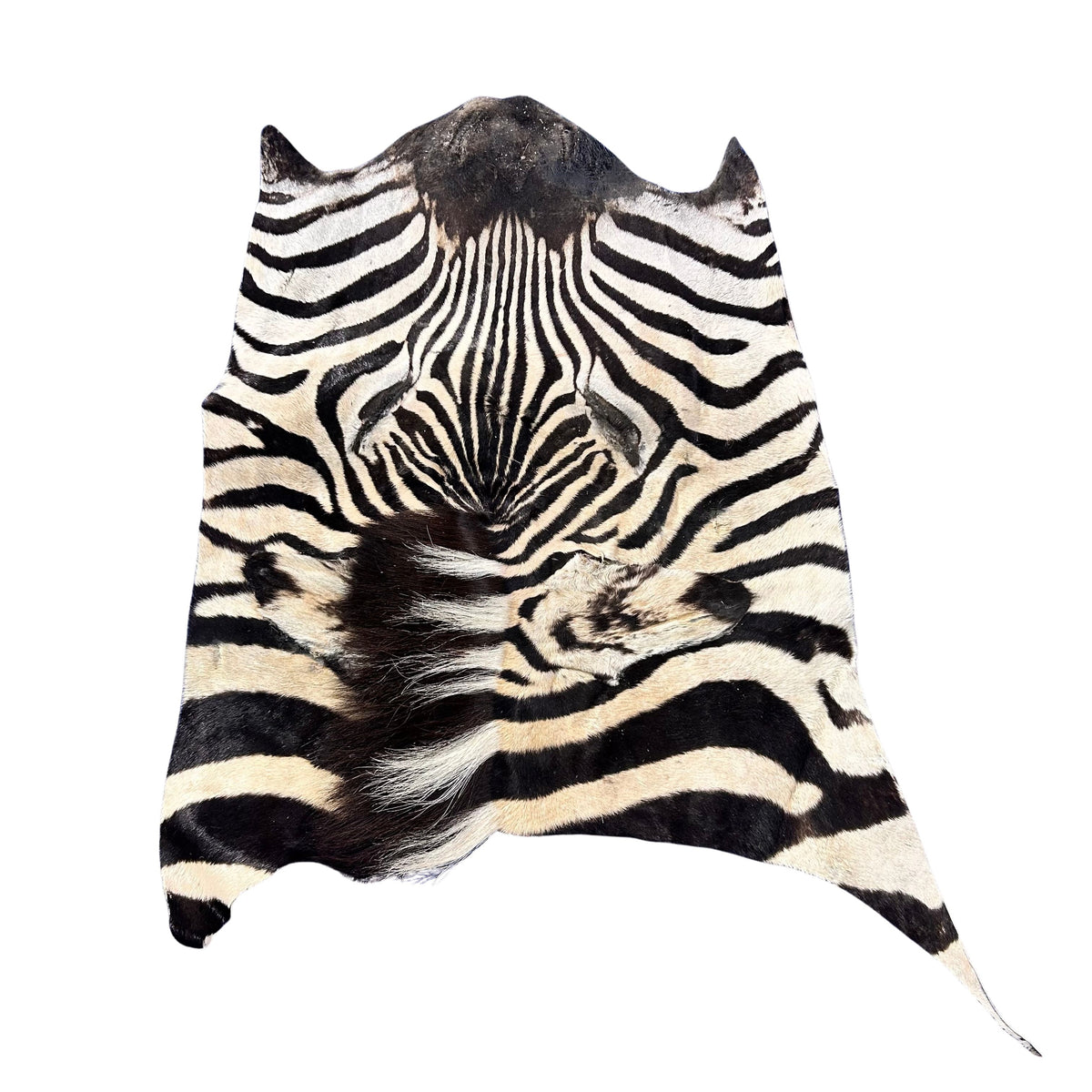 Real Zebra Face Leather - Size: 25x20"