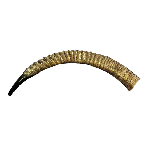Yemenite Antelope Shofar XXL (31" around curve) Genuine Antelope Horn Judaica Trumpet Kosher-made African antelope Yemenite Shofar