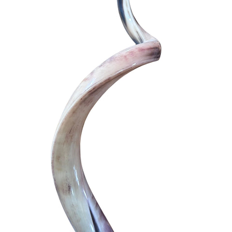 Kudu Yemenite Shofar XXL (44" around curls) Genuine Antelope Horn Judaica Trumpet Kosher-made Kudu antelope horn shofar Receive EXACT one!