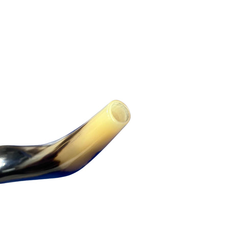 Kudu Yemenite Shofar XXL (44" around curls) Genuine Antelope Horn Judaica Trumpet Kosher-made Kudu antelope horn shofar Receive EXACT one!