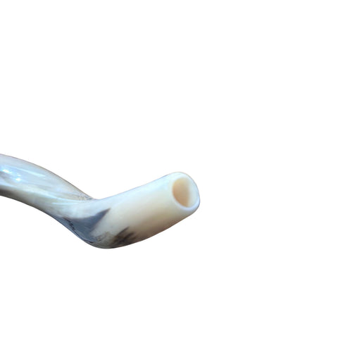 Kudu Yemenite Shofar XXL (45" around curls) Genuine Antelope Horn Judaica Trumpet Kosher-made Kudu antelope horn shofar Receive EXACT one!