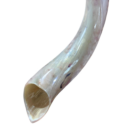 Kudu Yemenite Shofar XXL (45" around curls) Genuine Antelope Horn Judaica Trumpet Kosher-made Kudu antelope horn shofar Receive EXACT one!