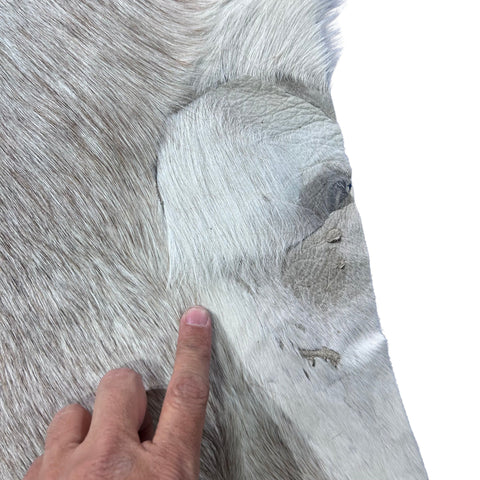 White Blesbok Skin (big patch) Size: 44x33" F-017