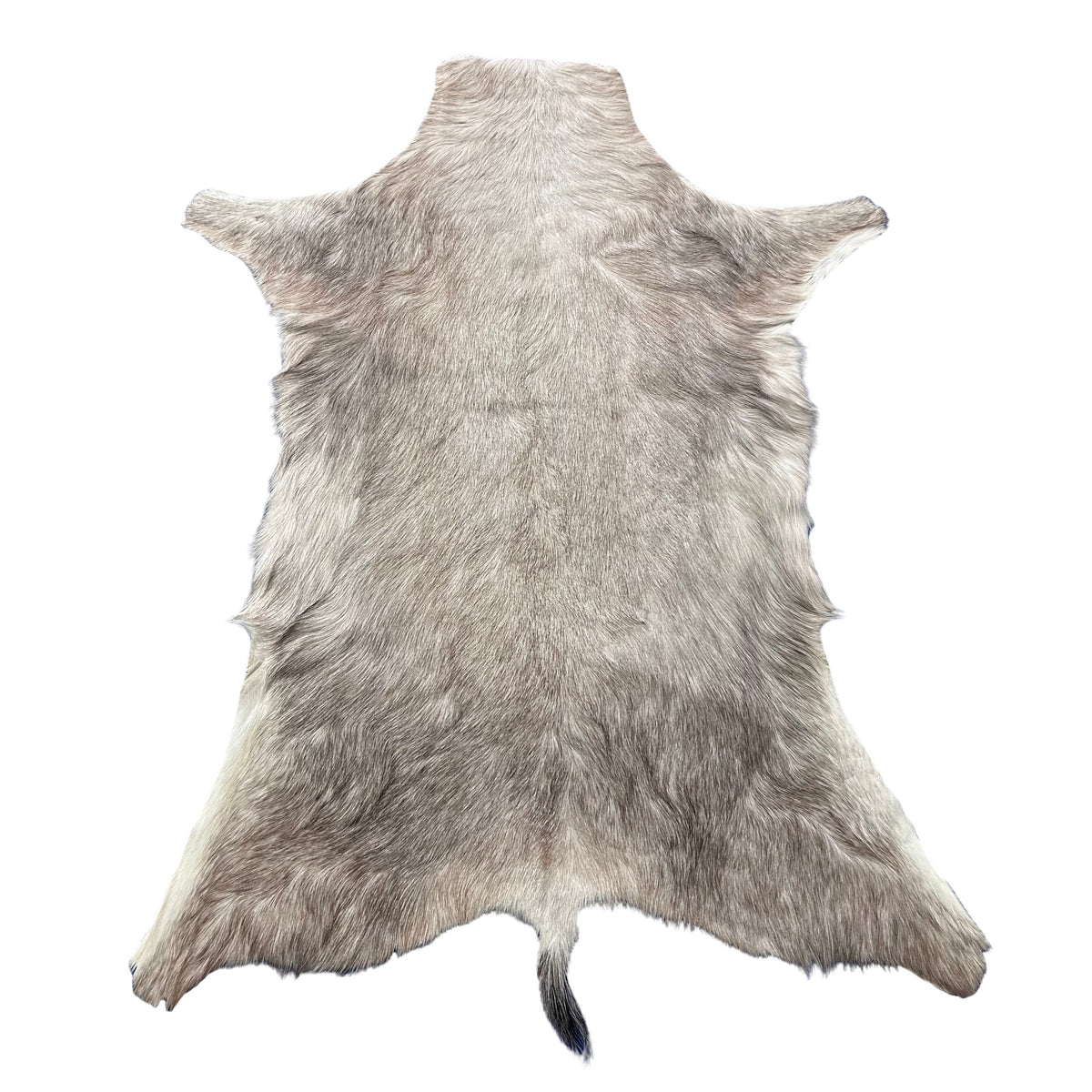White Blesbok Skin Size: 44x29" F-018