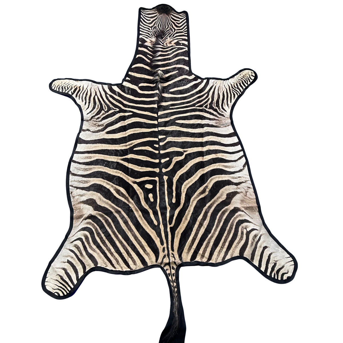 Zebra Skin Rug # 62 (felted/Tail is 28") Size: 8.2x6 feet