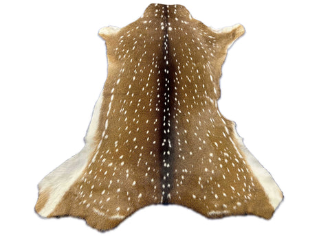 Top Grade Axis Deer Skin (no holes) Size: 50x33" Axis-727