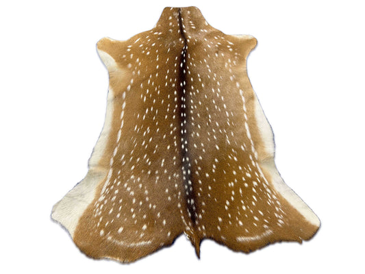 Top Grade Axis Deer Skin (no holes) Size: 45x38" Axis-728