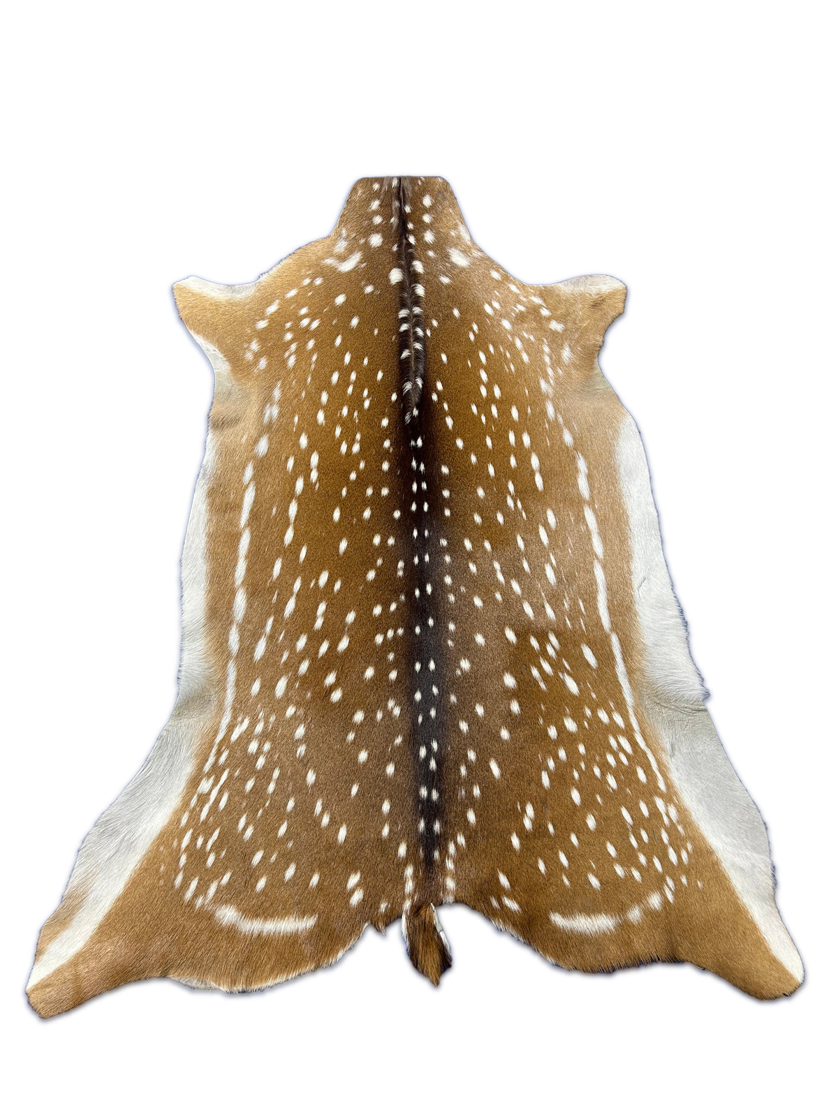 Top Grade Axis Deer Skin (1 small cut and small bald spots on the neck) Size: 50x36" Axis-733