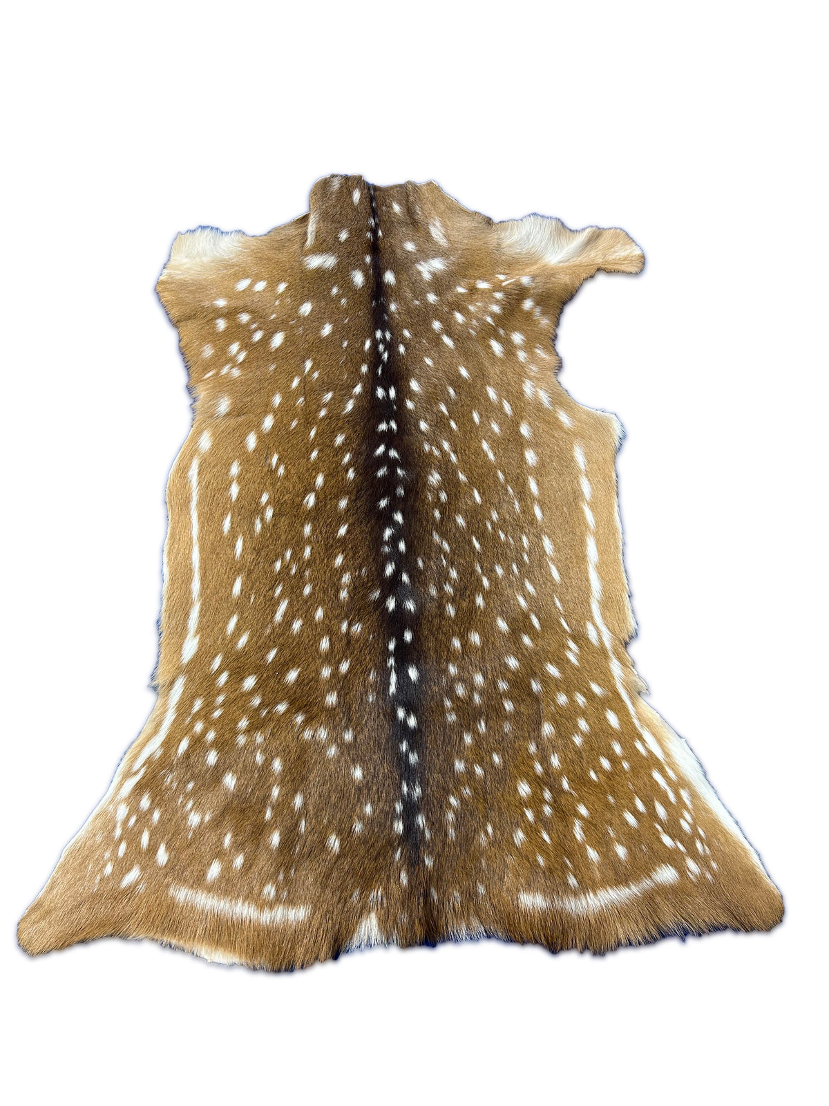 Top Grade Axis Deer Skin (1 tiny hole near edge) Size: 41x33" Axis-734