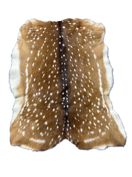 Top Grade Axis Deer Skin Size: 40x31" Axis-735