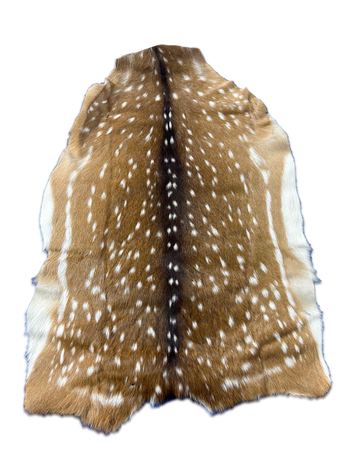 Top Grade Axis Deer Skin (small hole) Size: 39x28" Axis-737