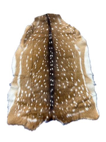 Top Grade Axis Deer Skin (small hole) Size: 39x28" Axis-737