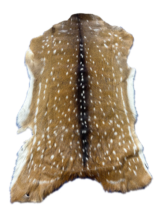 Top Grade Axis Deer Skin (small hole in the leg) Size: 41x25" Axis-738