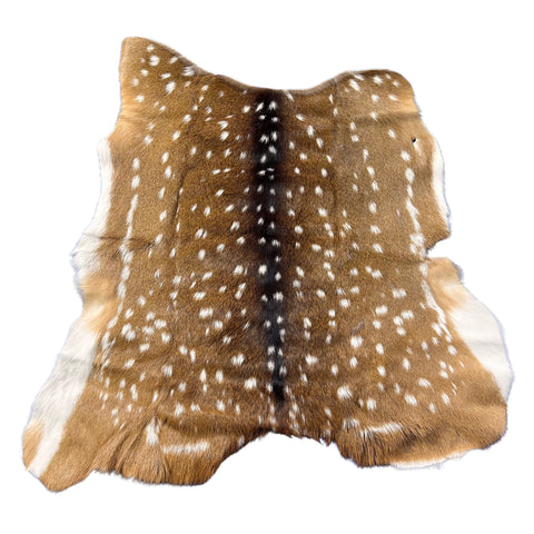 Axis Deer Skin Size: 40"x39" Axis-740