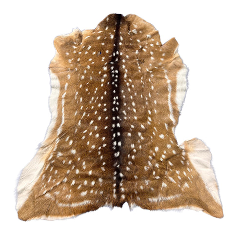 Axis Deer Skin Size: 42"x34" Axis-741