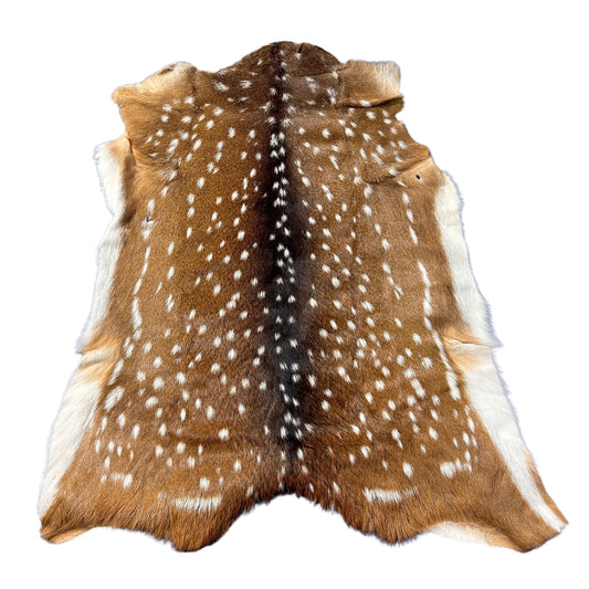 Axis Deer Skin Size: 45"x36" Axis-746