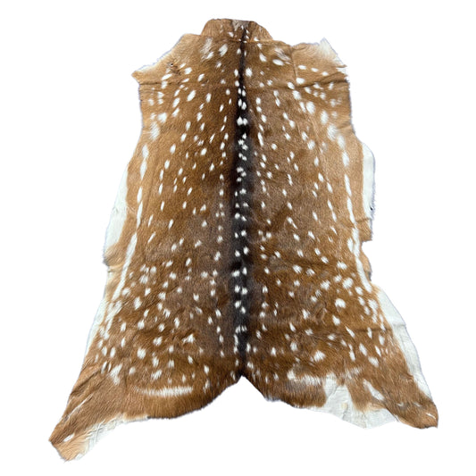 Axis Deer Skin Size: 41x32" Axis-748