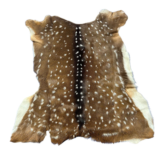 Axis Deer Skin Size: 42x38" Axis-750