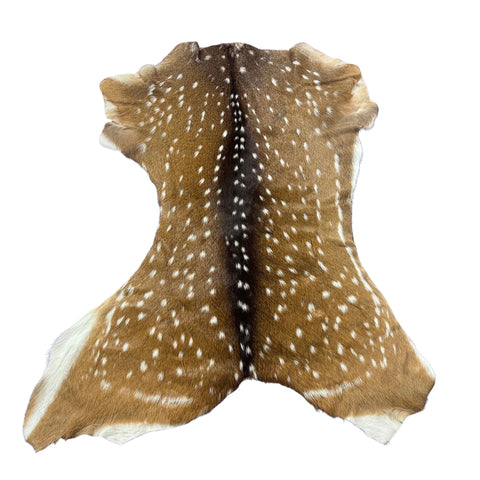 Axis Deer Skin (20" across narrowest part of belly) Size: 42x36" Axis-757