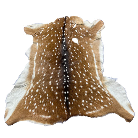 Axis Deer Skin Size: 38x37" Axis-761