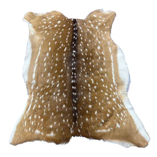 Top Grade Axis Deer Skin (1 little hole) Size: 38x32" Axis-767