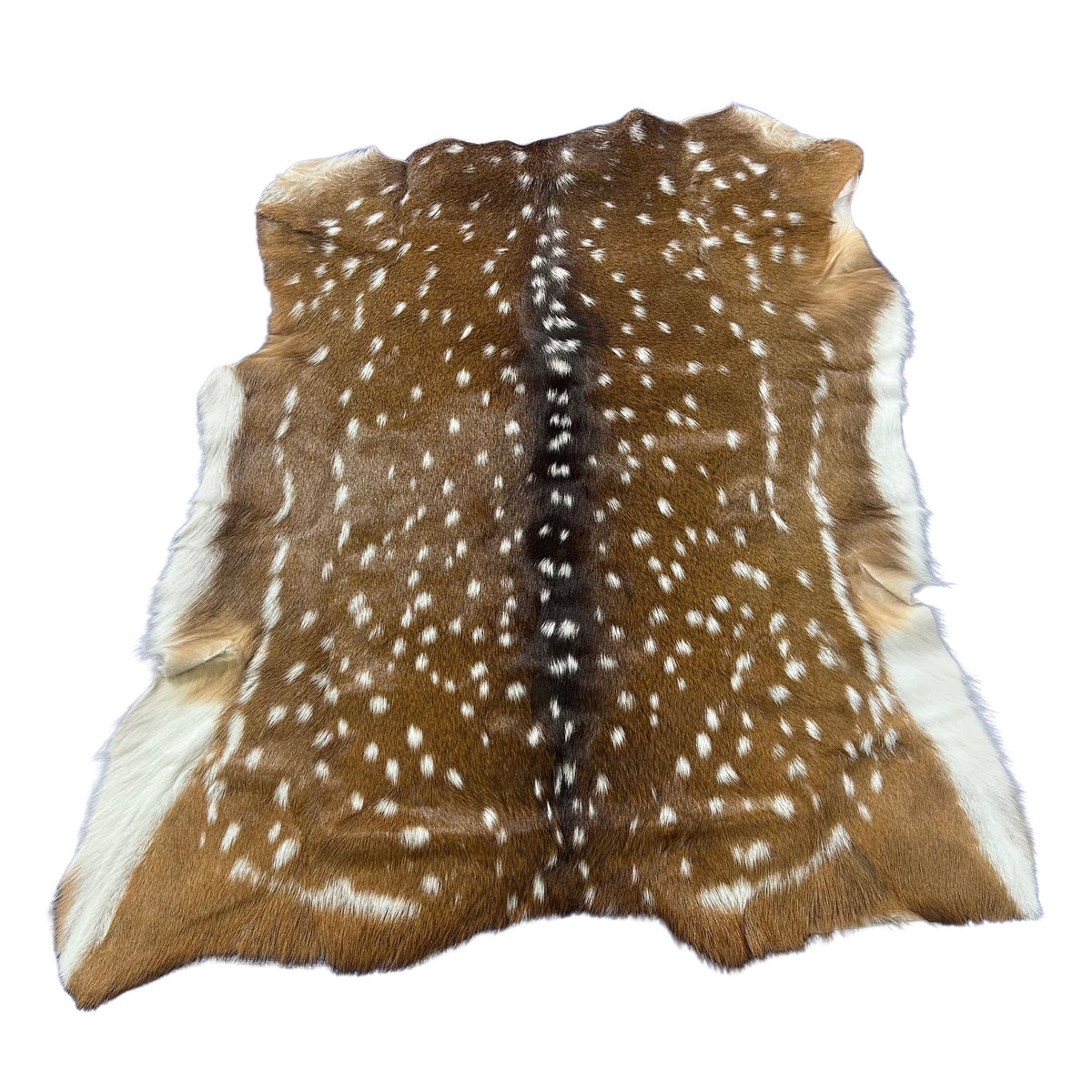 Axis Deer Skin (perfect quality) Size: 38x37" Axis-775