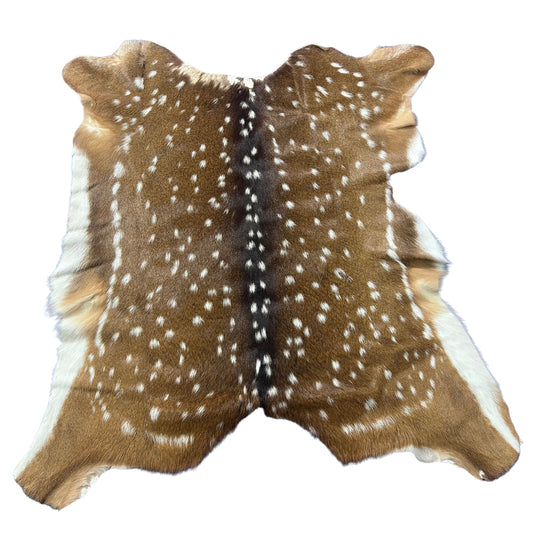 Axis Deer Skin (top of the neck missing hair) Size: 40x40" Axis-776