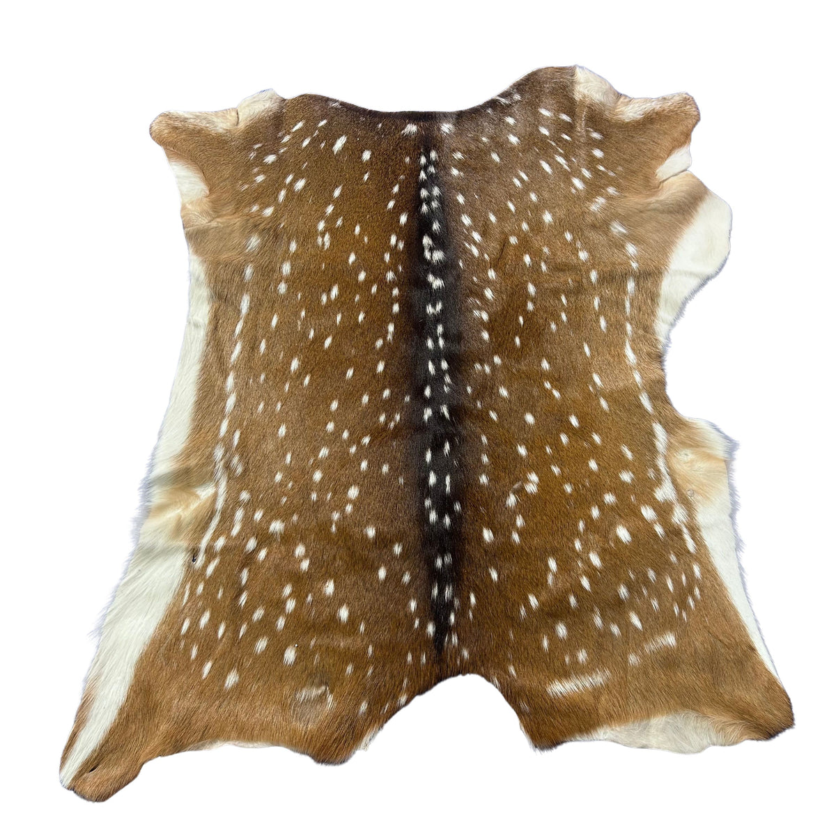 Axis Deer Skin (good quality/ a few small holes) Size: 45x35" Axis-778