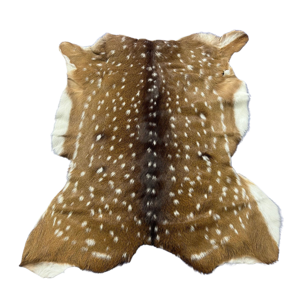 Axis Deer Skin (good quality and soft) Size: 42x37" Axis-779