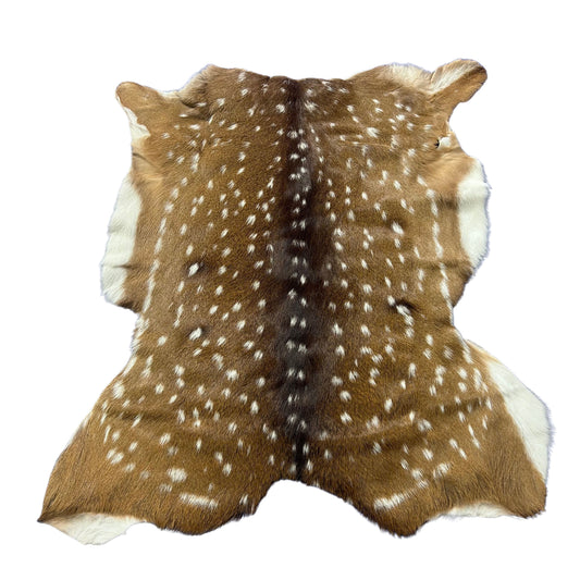 Axis Deer Skin (good quality and soft) Size: 42x37" Axis-779
