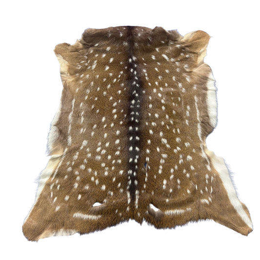 Axis Deer Skin (some holes) Size: 36x34" Axis-773