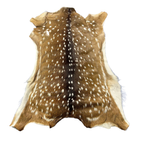 Axis Deer Skin Size: 40x32" Axis-781