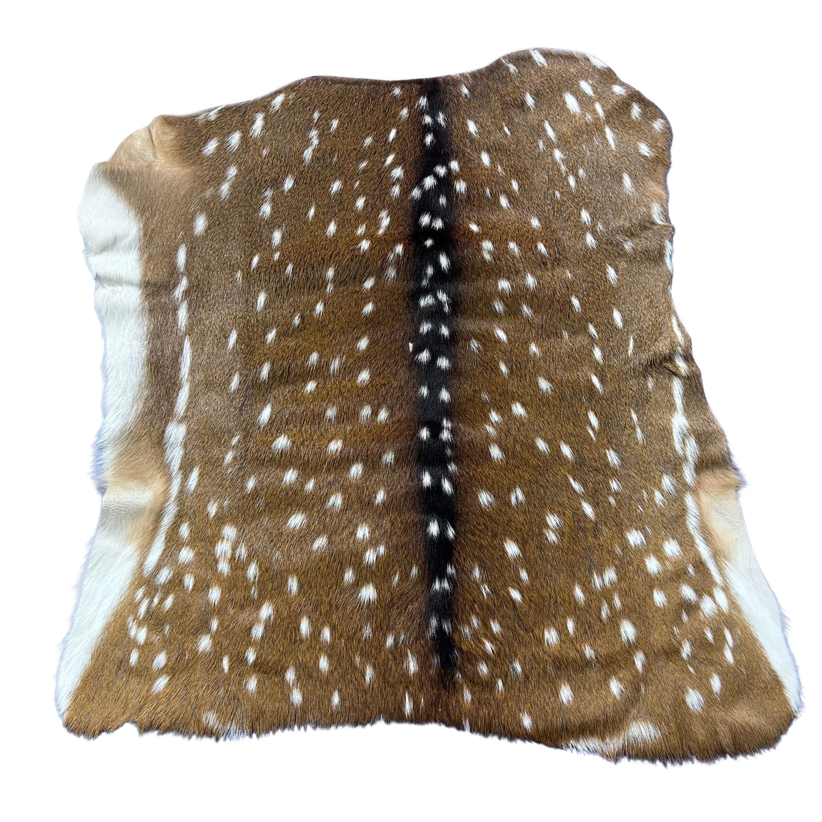 Axis Deer Skin Size: 37x35" Axis-762