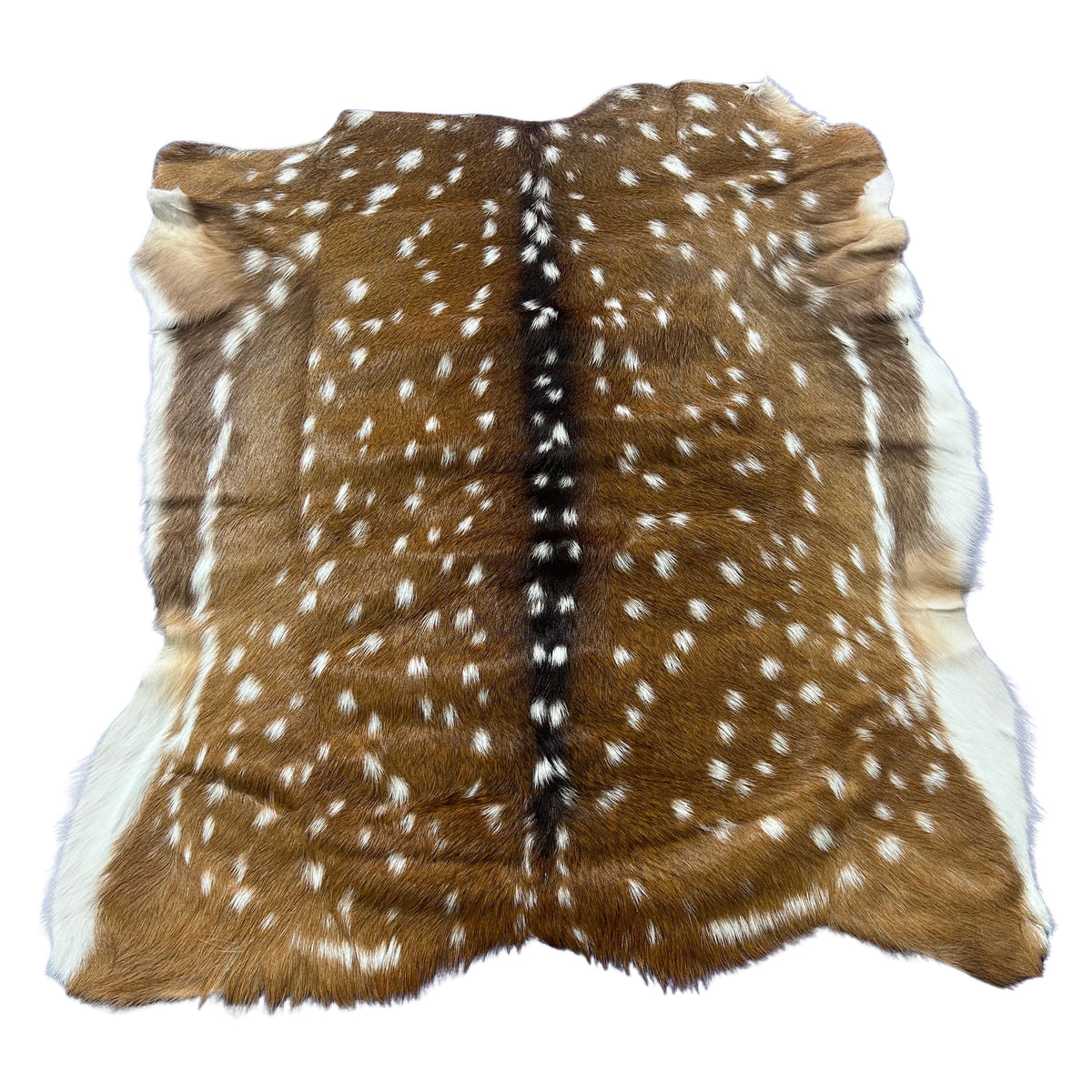 Axis Deer Skin Size: 39x37" Axis-763