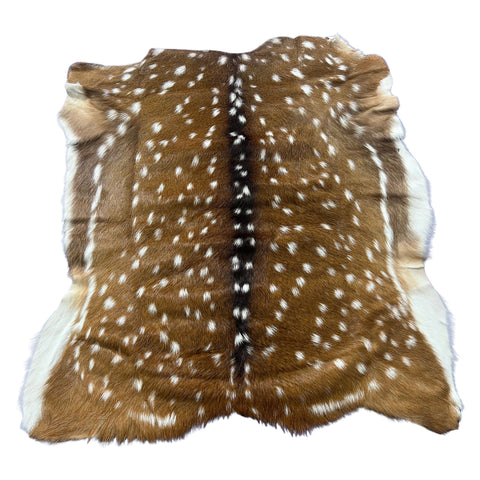 Axis Deer Skin Size: 39x37" Axis-763