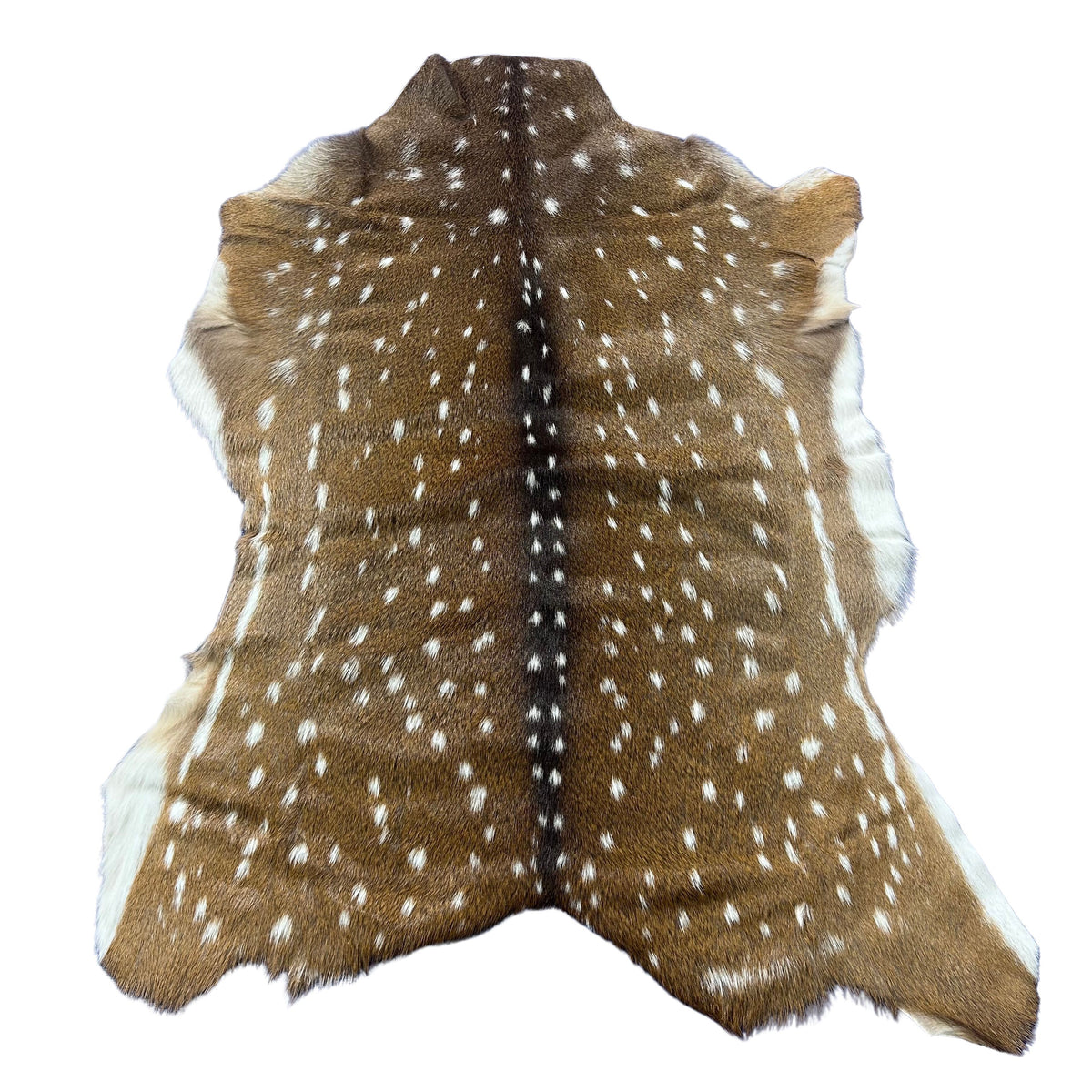 Axis Deer Skin Size: 45x35" Axis-764