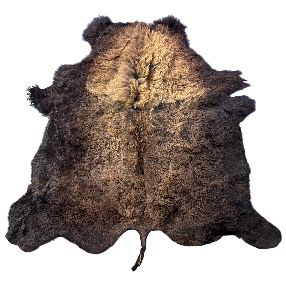 Bison Skin (GORGEOUS MANE! Super long fur around the neck, Nice tail, One small hole) Size: 7x7 feet # 100