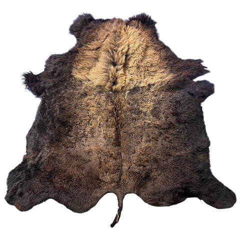 Bison Skin (GORGEOUS MANE! Super long fur around the neck, Nice tail, One small hole) Size: 7x7 feet # 100