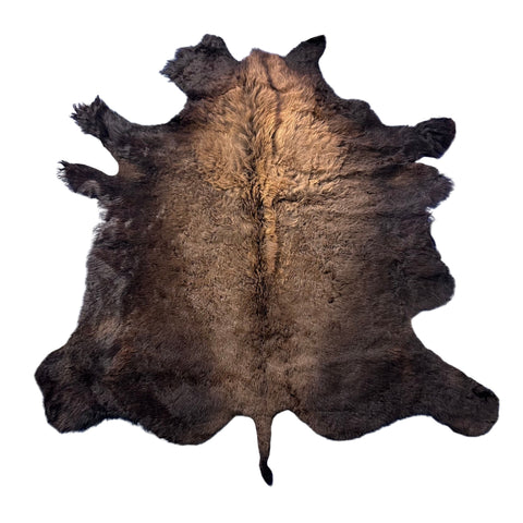 Bison Skin (NICE MANE! Super long fur around the neck, Nice tail) Size: 8x7 feet # 101