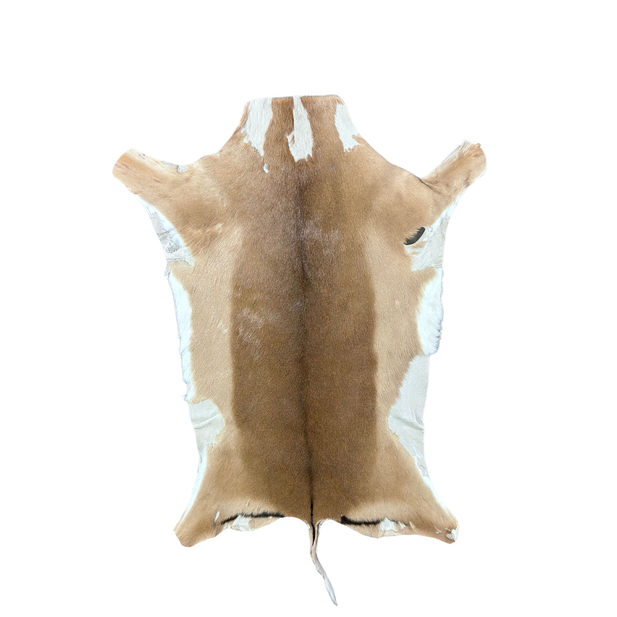 African Impala Antelope Hide - 2nd Grade Skin
