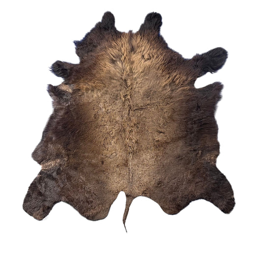 Bison Skin Rug (full tail) Size: 8.8x6.6 feet # 13